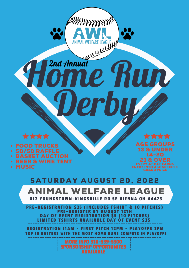 Home Run Derby 2024 Rules And Regulations Pdf Kara Sandie